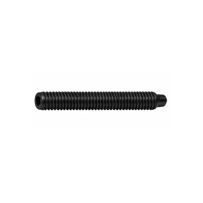 Vis sans tête à six pans creux - STHC - DIN 915 - M 3 x 20 - Bout téton - Acier 45H brut