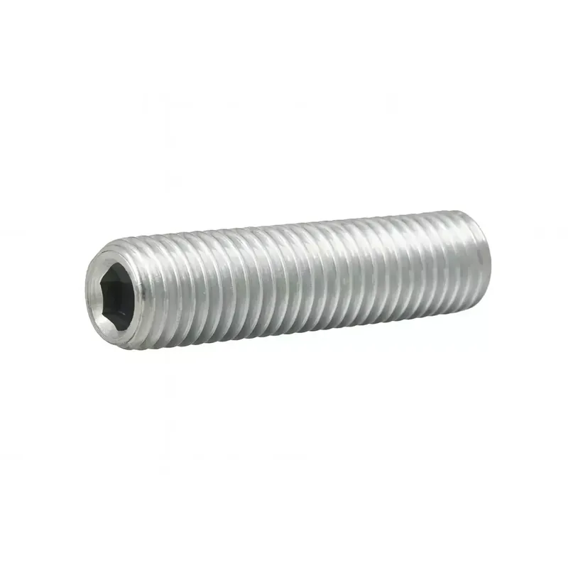 Vis sans tête à six pans creux - STHC - DIN 913 - M 12 x 40 - Bout plat - Inox A2