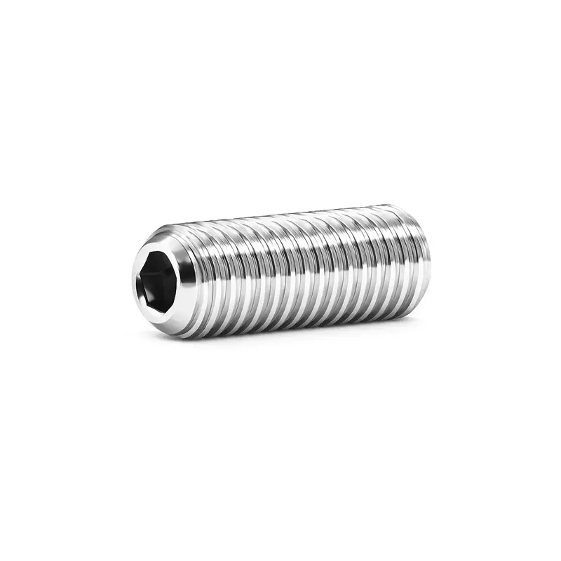 Vis sans tête à six pans creux - STHC - DIN 916 - M 5 x 40 - Bout cuvette - Inox A4