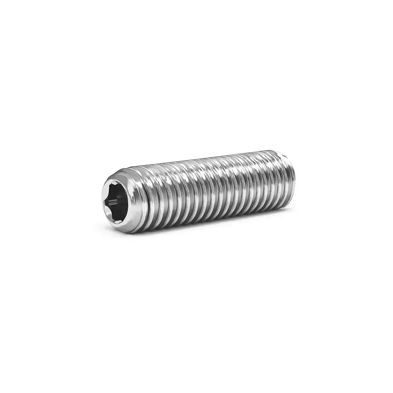 Vis sans tête à six pans creux - STHC - DIN 916 - M 16 x 80 - Bout cuvette - Inox A2