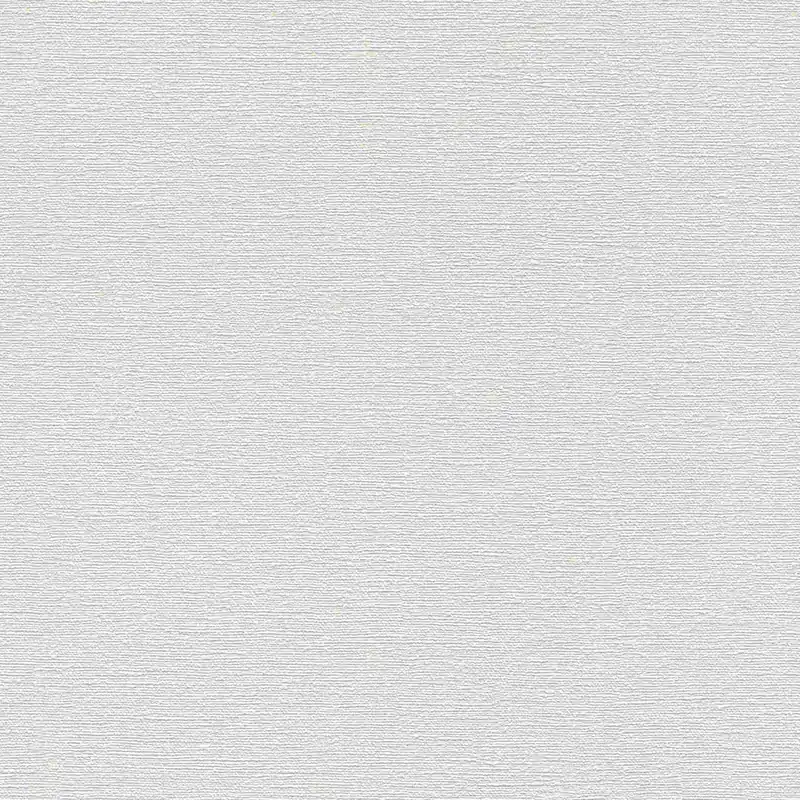 Rasch Unsere Besten 2022 | 804539 | papier peint intissé uni | 0.53 m x 10.05 m | gris