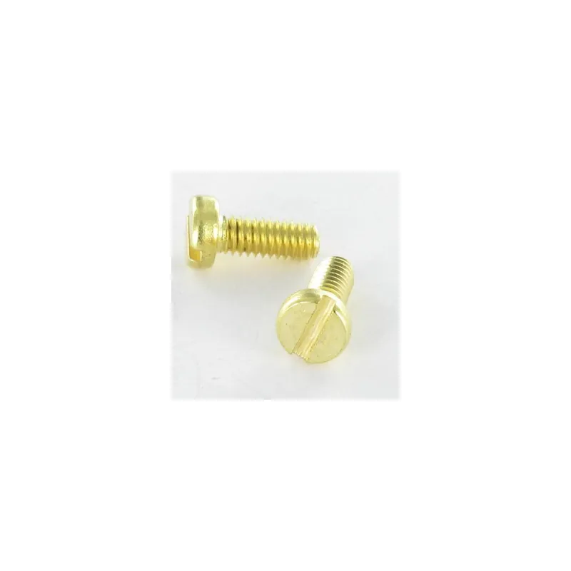 1 x Vis métaux Laiton Tête cylindrique TC Fendue M6X20