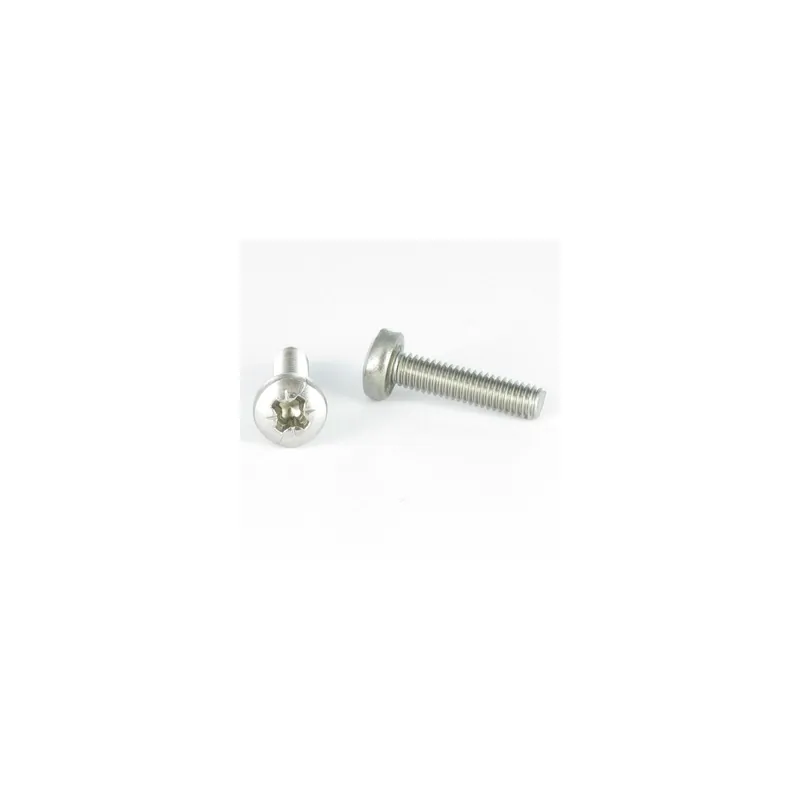 1 x Vis métaux tête cylindrique bombée large Pozi N°1 M3X6 Acier zingué microvis