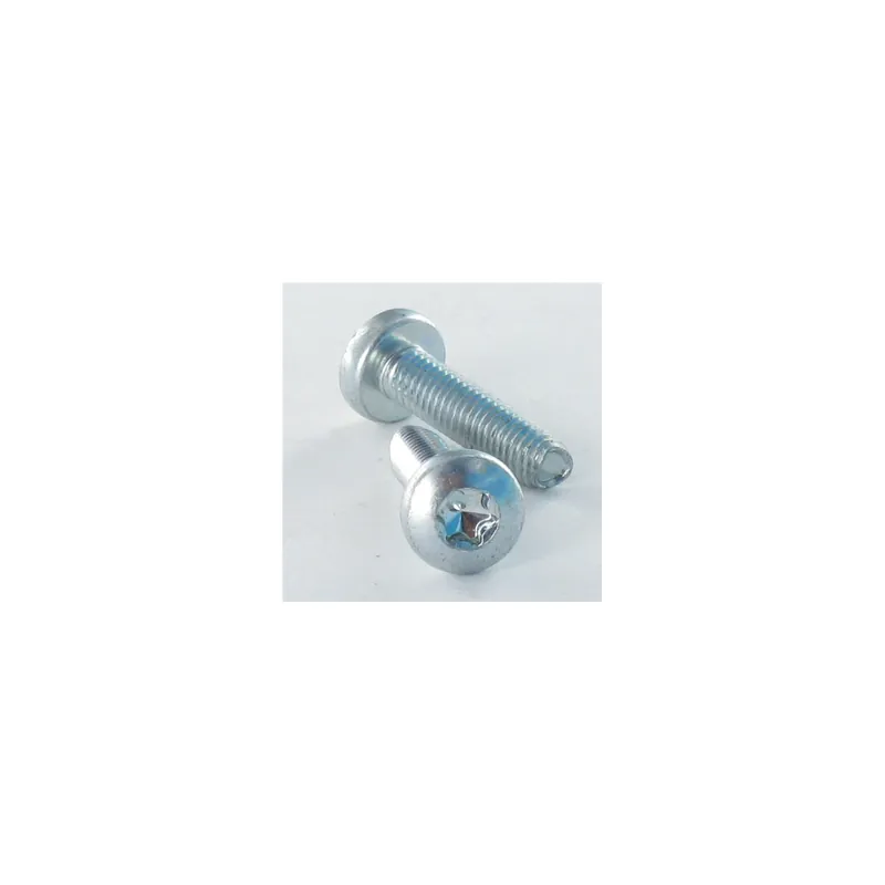 1 x Vis autotaraudeuse tête cylindrique bombée large 5X20 TORX T25 Acier zingué