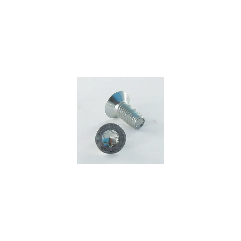 1 x Vis autotaraudeuse Tête fraisée 4X8 TORX T20 Acier zingué
