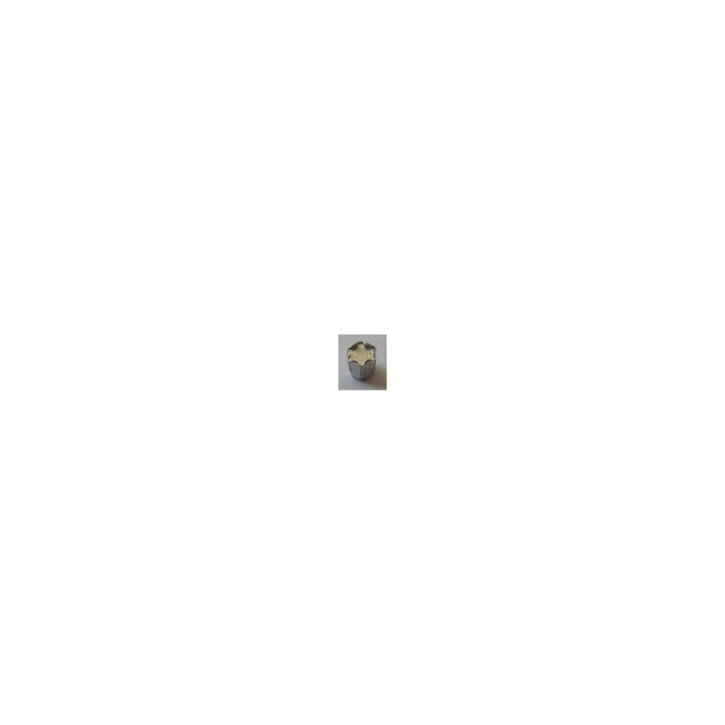 1 x ELEMENT ANTI-INTRUSION TORX T40 Acier zingué