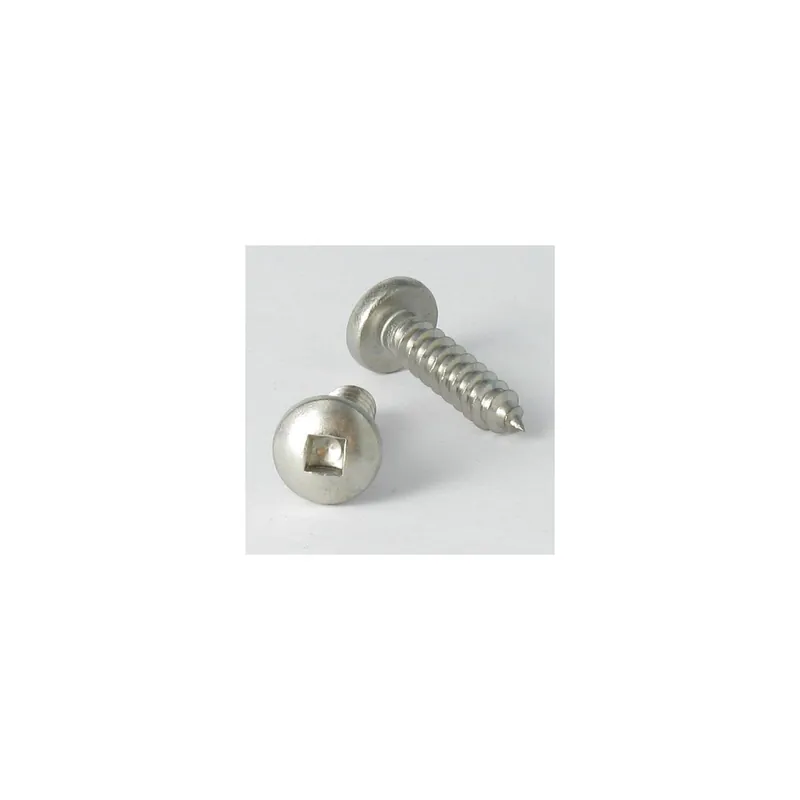 1 x Vis tôle Tête cylindrique TC Carré 4.8X45 Empreinte carré 2 Inox A2