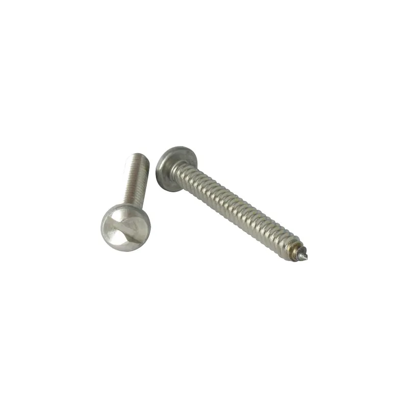 1 x Vis tôle Inviolable Tête cylindrique TC One way 4.2X19 Inox A2