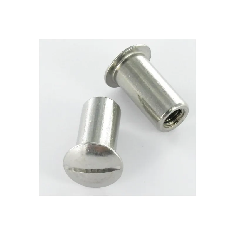 1 x Vis HUBLOT Tête bombée Fendue M4/8 6X10 Diamètre de tête: 9 Inox A4