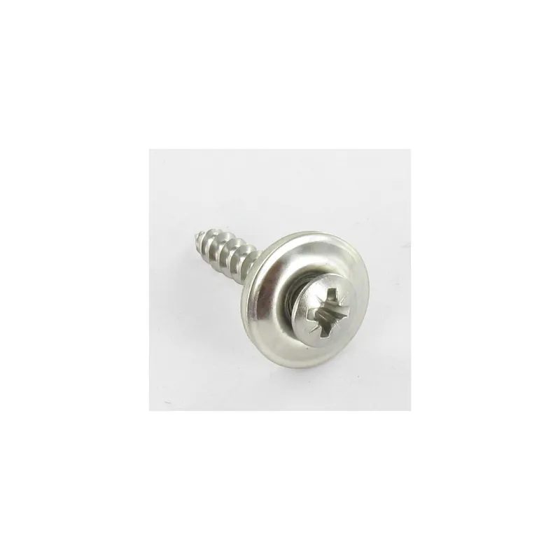 1 x Vis faitage Tête fraisée bombée TFB Pozi Inox A2 Rondelle d'étanchéite EPDM 4.5X20