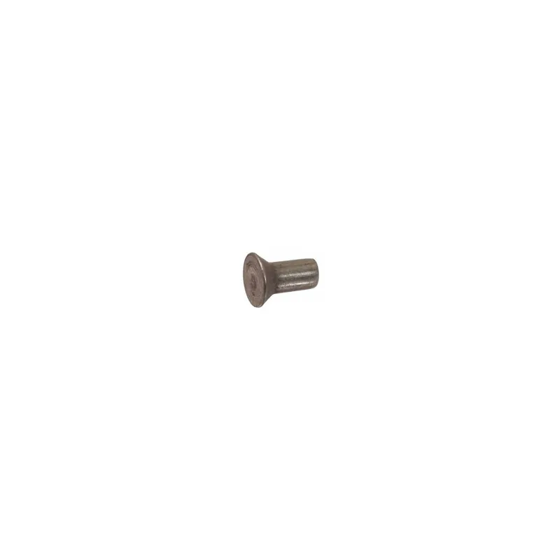 1 x Rivet à frapper Tête fraisée Inox A2 4X8