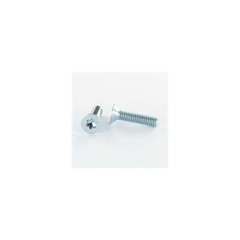 1 x Vis métaux Tête fraisée TORX T30 M6X40 TORX T30 Acier zingué