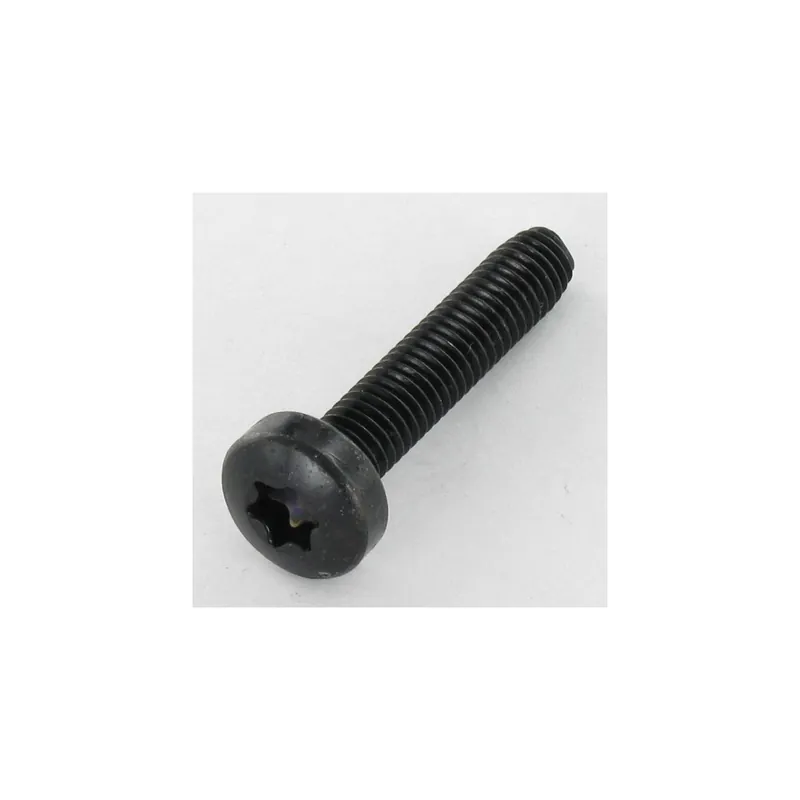 1 x Vis autotaraudeuse tête cylindrique bombée large 6X30 TORX T30 Acier brut zingué nickel noir 480 hbs sans rouille