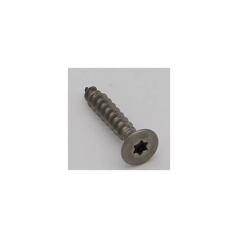 1 x VBA Vis bois agglo Tête fraisée TORX T20 4X40 Filetage total Inox A2
