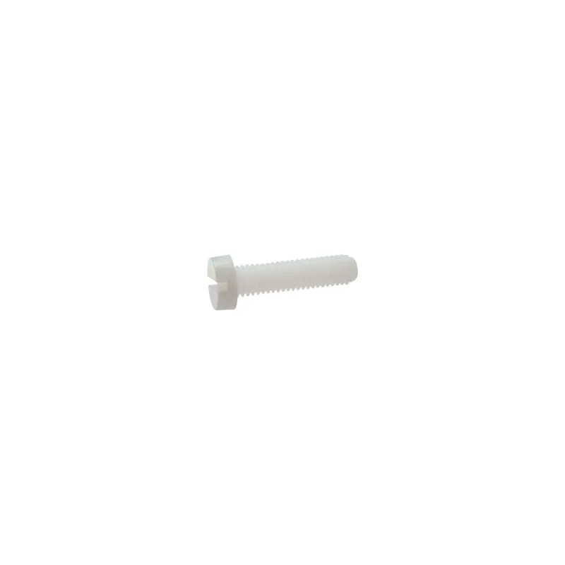 1 x Vis métaux Tête cylindrique large TCL Fendue M6X30 nylon naturel