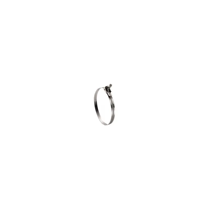 1 x Collier de serrage à tête basculante bande non perforée Diamètre 40 à 115 W2/ZG