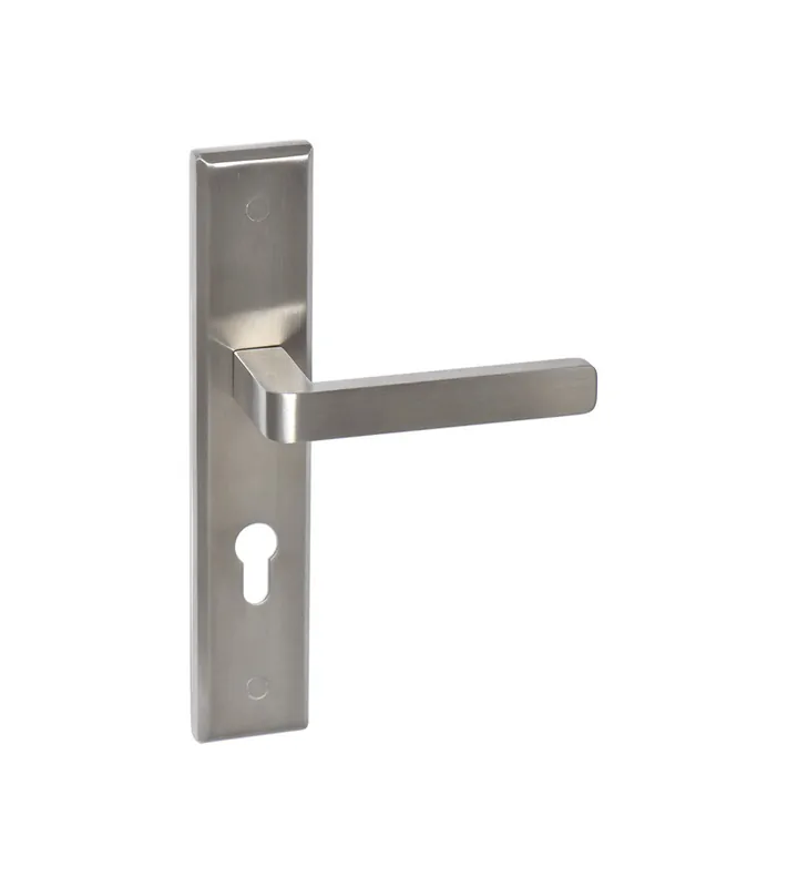 Poignée inox sur grande plaque longue biseautée pour porte d’entrée - modèle Soho Prestige