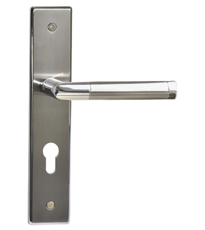 Poignée bicolore sur grande plaque longue biseautée pour porte d’entrée – modèle Listrac Prestige